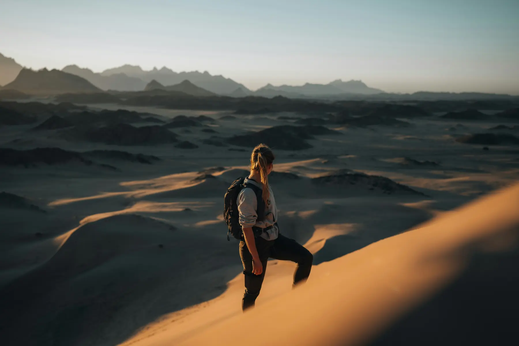 Wander Wave